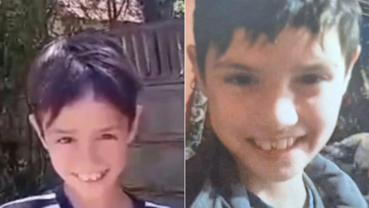 Ro Alert in cinci judete dupa disparitia lui Madalina