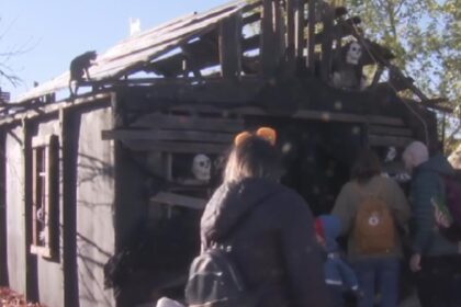 A inceput West Side Hallo Fest festivalul de Halloween