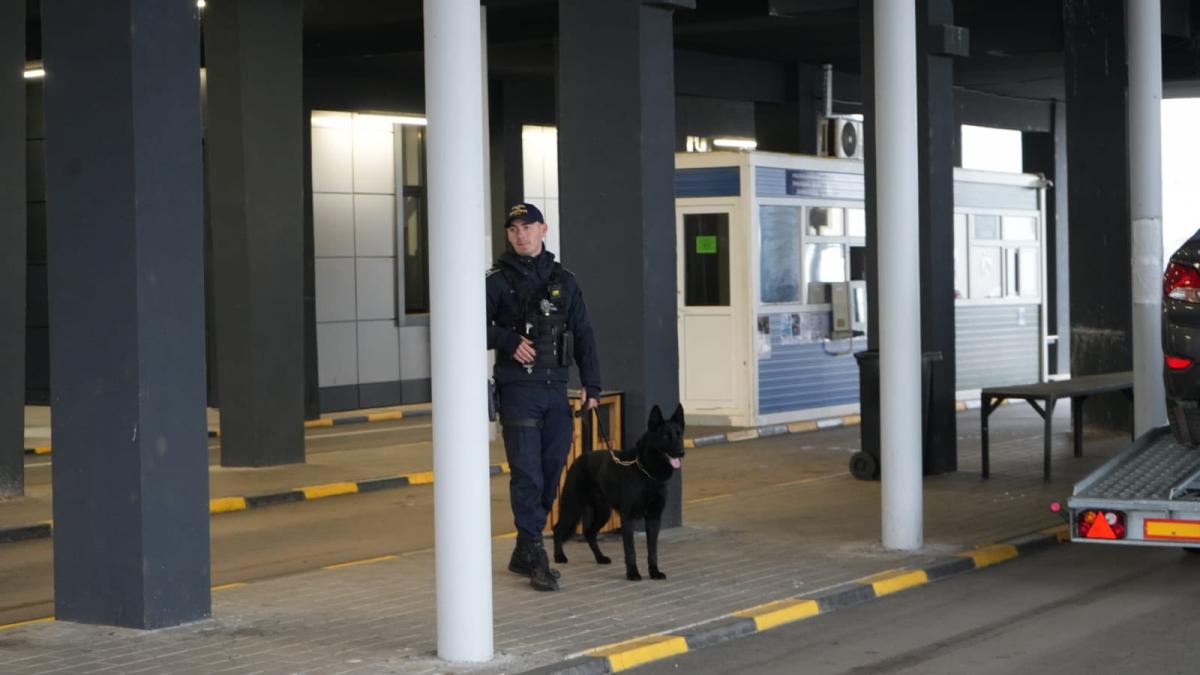 Alerte la granita camion cu arme oprit la Albita