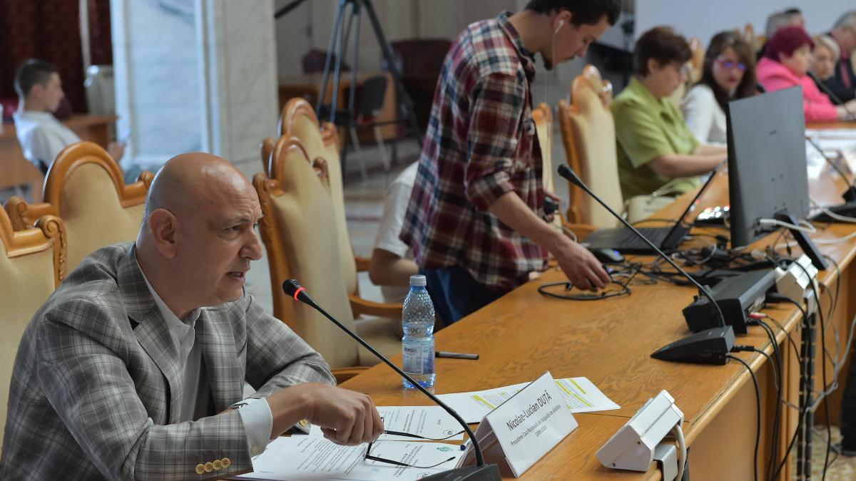 ICCJ anuleaza condamnarea lui Lucian Duta de 6 ani