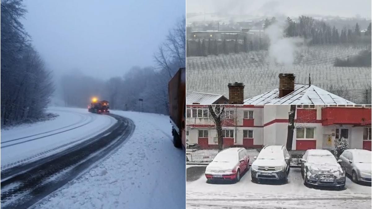 Ninge ca in povesti Zapada in multe locuri