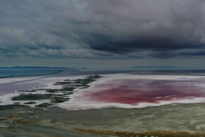 Un animal misterios a fost descoperit in lac