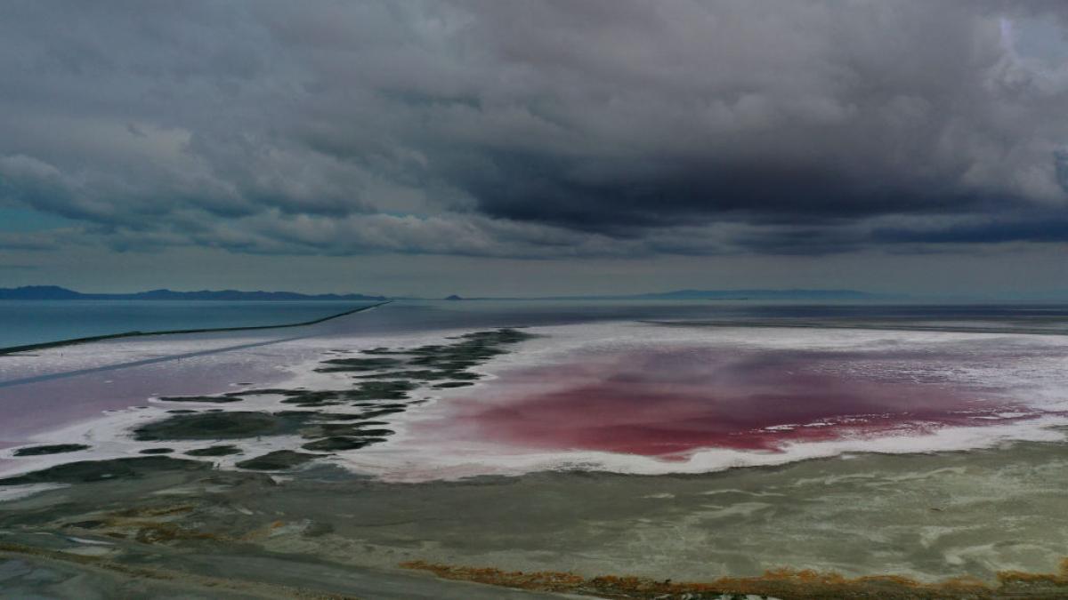 Un animal misterios a fost descoperit in lac