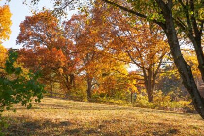 Vremea se inca lzeste Prognoza ANM pentru 2 saptamani