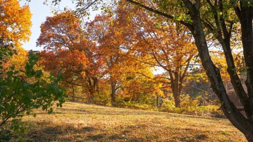 Vremea se inca lzeste Prognoza ANM pentru 2 saptamani
