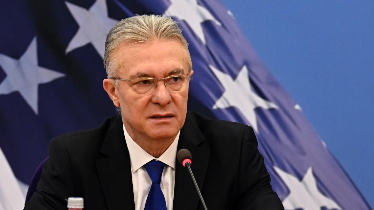 Cristian Diaconescu despre criza din NATO Singura alianta in care membrii sau atacat intre ei a