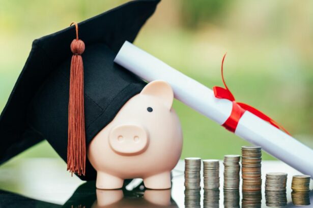 Burse pentru studentii internauionali MAE a lansat programul pentru cetatenii straini din tarile non UE