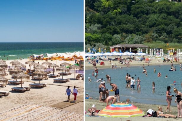Buzoianu anunta reorganizarea litoralului romanesc Nu va mai fi posibil sa avem plaje de
