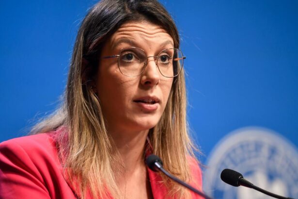 Diana Buzoianu Imi doresc sa lansam Radarul Balagierelor cu un control eficient pana la mijlocul