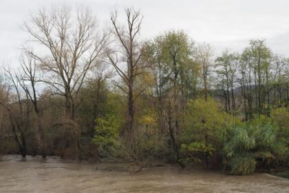 Dup a ninsorile abundente exista risc de inundatii pe multiple raiuri din judetul Buzau