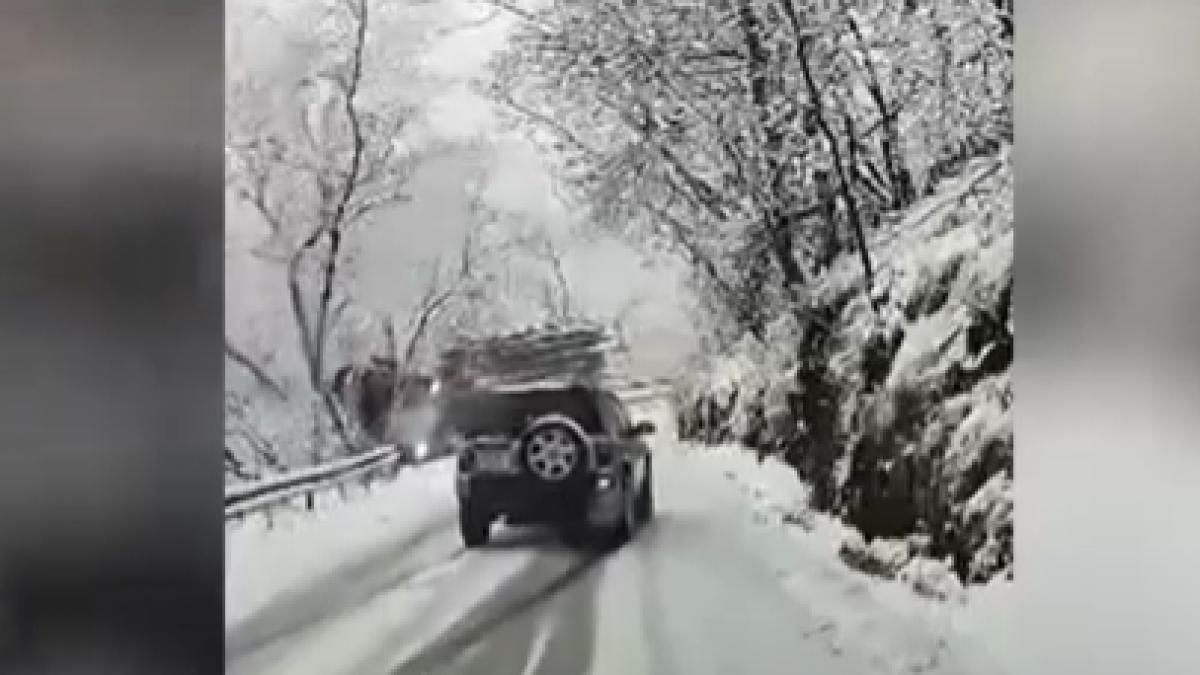 Momente neasteptate pentru un sofer a alunecat de pe un drum inghetat intr o prapastie dupa ce a pierdut