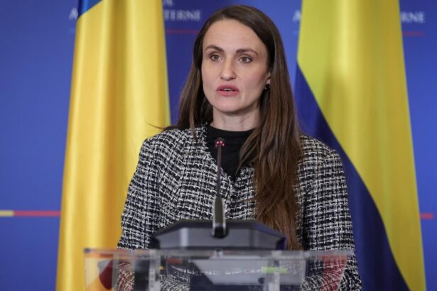 Oana Toiu NATO se angajeaza sa isi consolideze strategia de descurajare si aparare pe Flanc