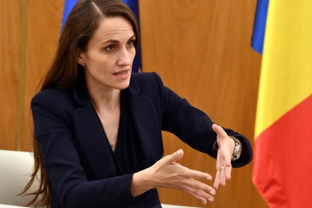 Oana Toiu a inaugurat Presedintia Romaniei la Initiativa Central Europeana Este acasa pentru 160