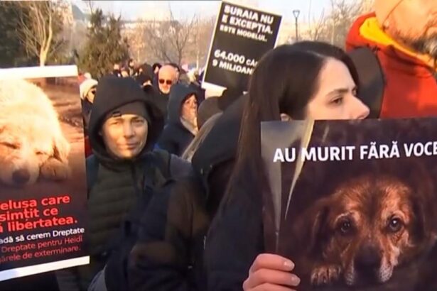 Peste 1000 de oameni au luat parte la protestul organizat in urma tragediei de la Suraia