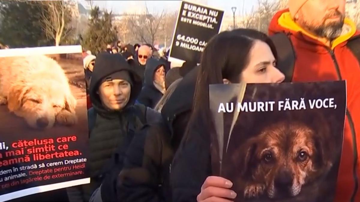 Peste 1000 de oameni au luat parte la protestul organizat in urma tragediei de la Suraia