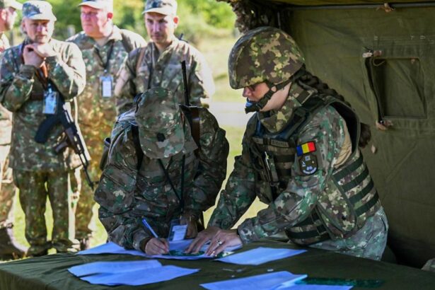 Radu Miruta cere o noua Lege a Apararii Securitatea nationala nu este temporara si nici doar