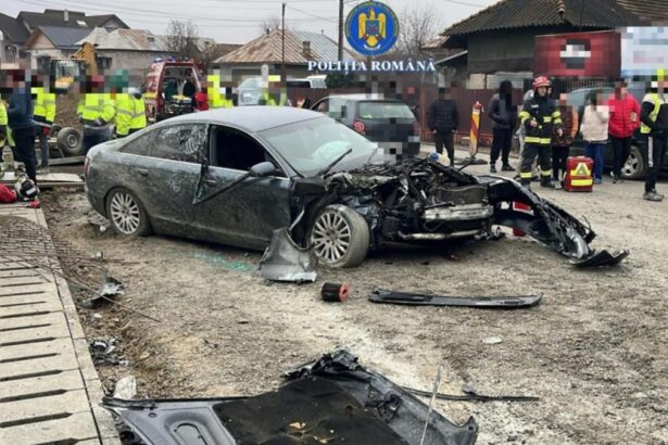 Un tanar sofer cu permisul suspendat a evitat sa opreasca la semanalul poliiei si a colisionat un excavator