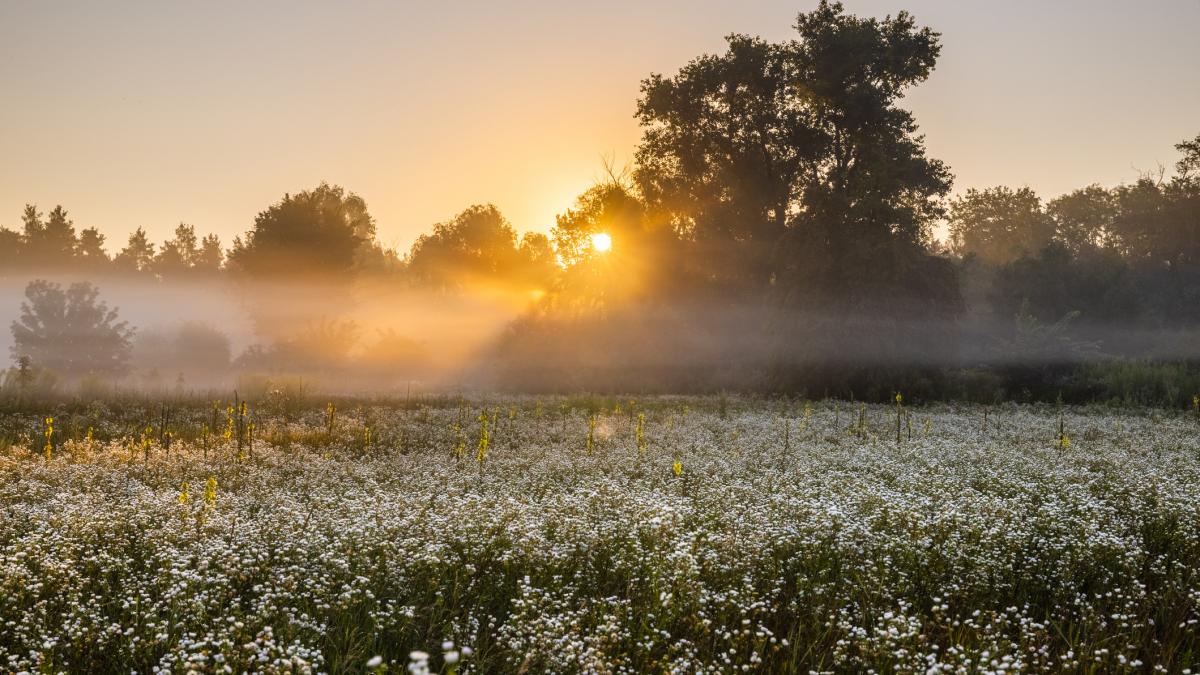 ANM anunta temperaturi de 18 grade Celsius si cer senin pe parcursul intregii saptamani viitoare