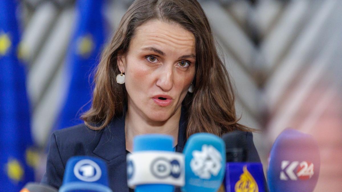 Acuzaii grave la adresa Oanei Toiu Ar fi cerut excluderea fiicei lui Victor Ponta din