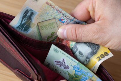 Ajutoarele pentru pensionari vor intarzia din cauza contestatiei AUR la CCR referitoare la buget Ce se