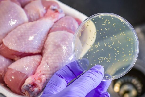 Alerta alimentara in Buzau carne tocata de pui suspectata de contaminare cu Salmonella retrasa din