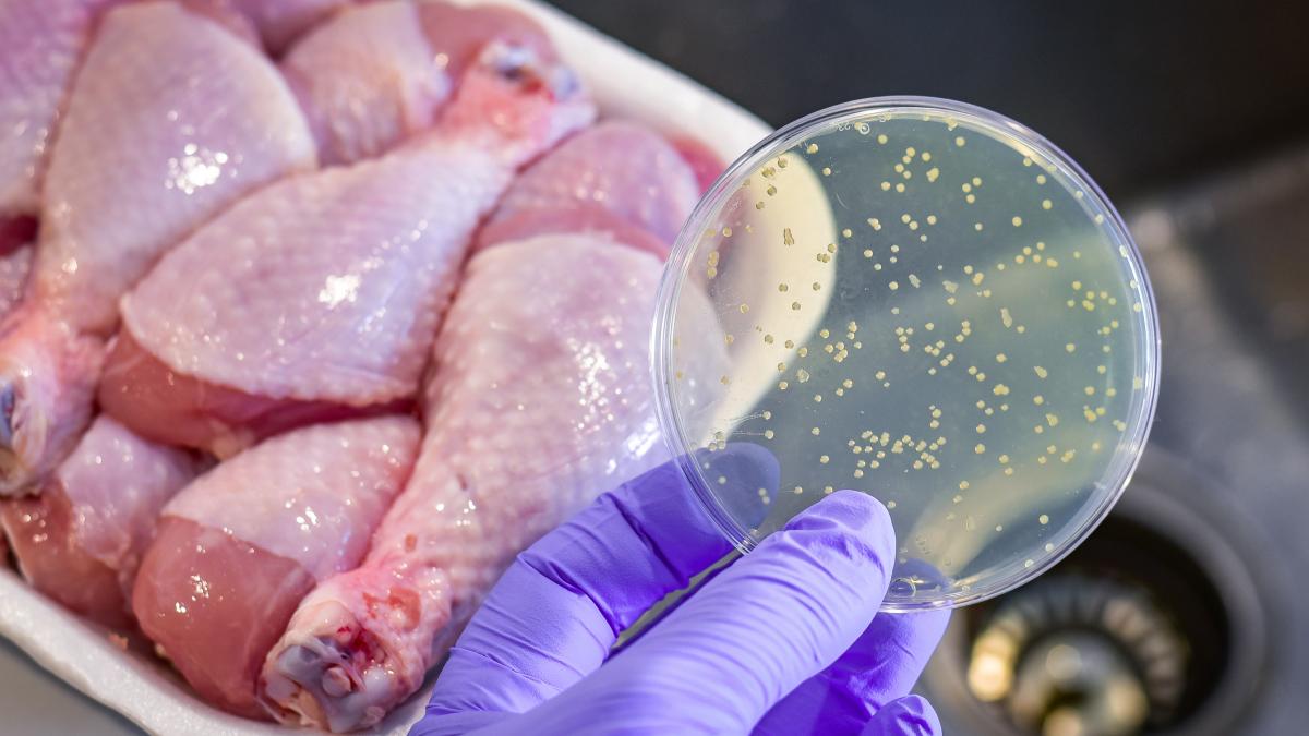 Alerta alimentara in Buzau carne tocata de pui suspectata de contaminare cu Salmonella retrasa din