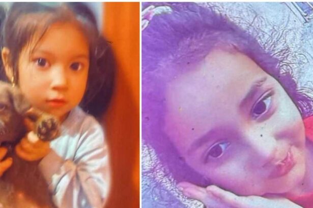 Alerte in Mures Doua fetita de 4 si 5 ani au disparut si sunt cautate cu o