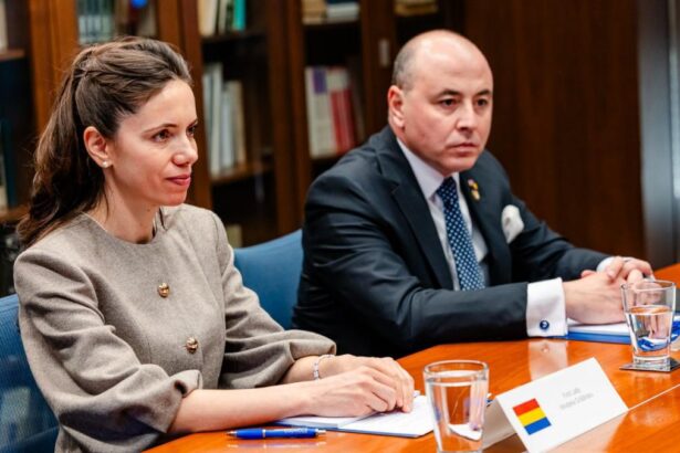 Ambasada Romaniei in SUA Vizita Mirabelei Grdinaru la American Councils a avut drept obiectiv extinderea