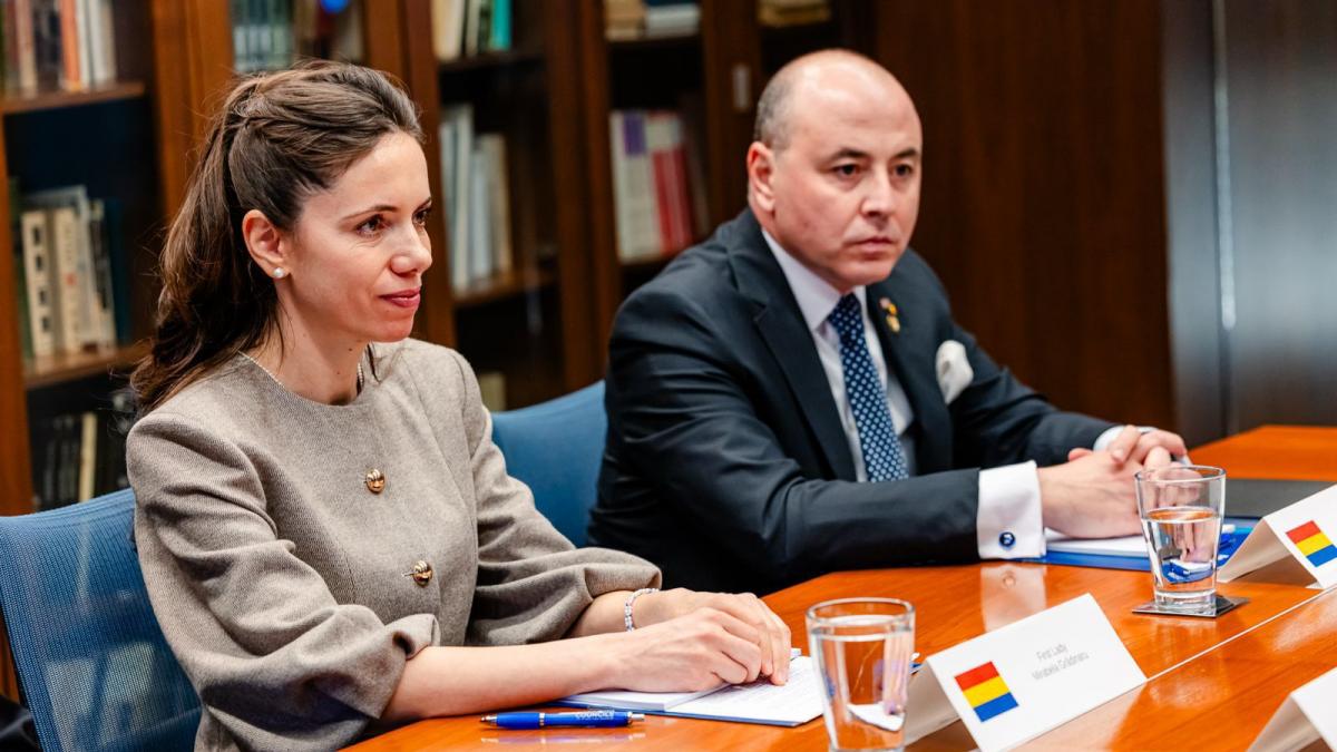 Ambasada Romaniei in SUA Vizita Mirabelei Grdinaru la American Councils a avut drept obiectiv