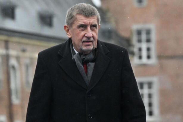 Andrej Babis isi mentine imunitatea parlamentara Parlamentul ceh respinge cererea procurorilor