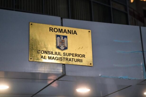 CSM a dat aviz favorabil numirii lui Codrin Horatiu Miron la conducerea DIICOT