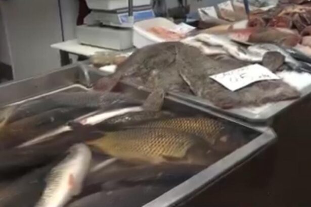 Cat cost petele de Buna Vestire i cnd are loc prima dezlegare n Postul Patelui 2026 Preuri mai