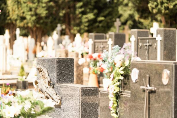 Cimitirul s a transformat intr un spatiu de recreere Orasul din Romania unde tinerii dintr un cartier isi