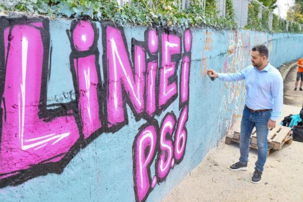 Ciprian Ciucu Ii invit pe autorii de graffiti sa identificam locuri unde pot sa se exprime