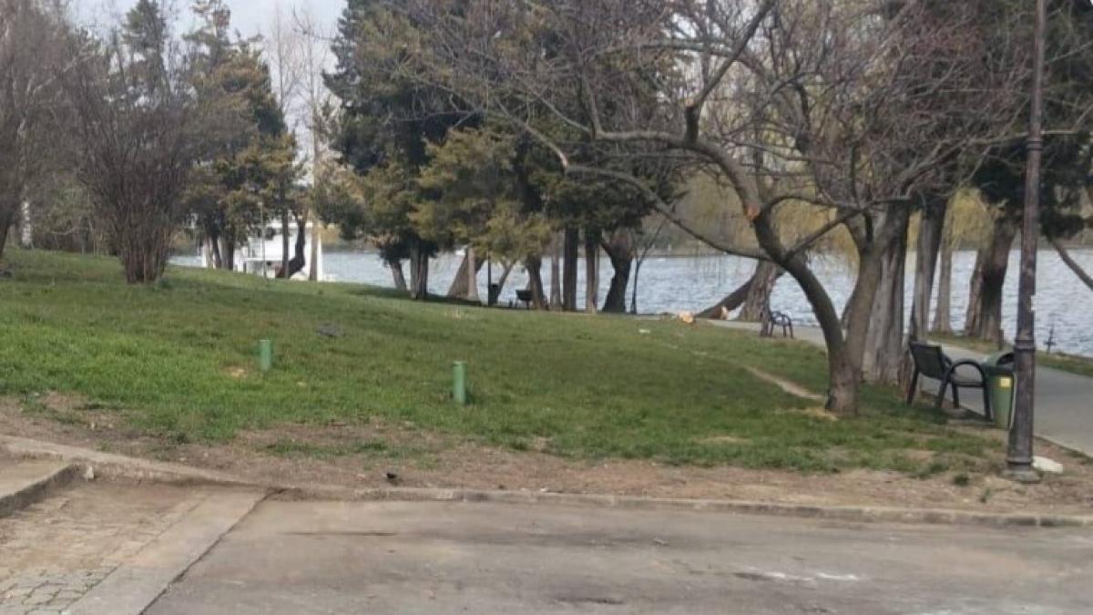 Ciprian Ciucu a anuntat ca va ndeparta carabusii ilegali din Herastrau si Cismigiu Suntem la