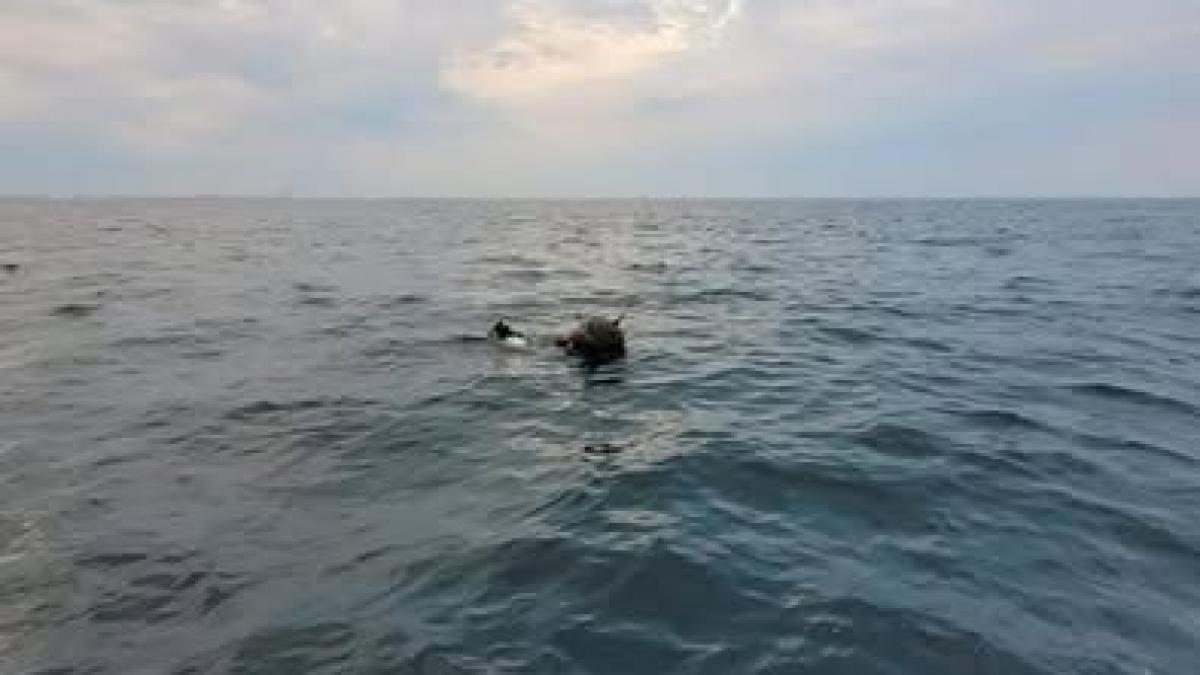 Controversa intre Romania si Rusia privind sursa minelor marine derivate in Marea Neagra Raspunsul MApN pentru