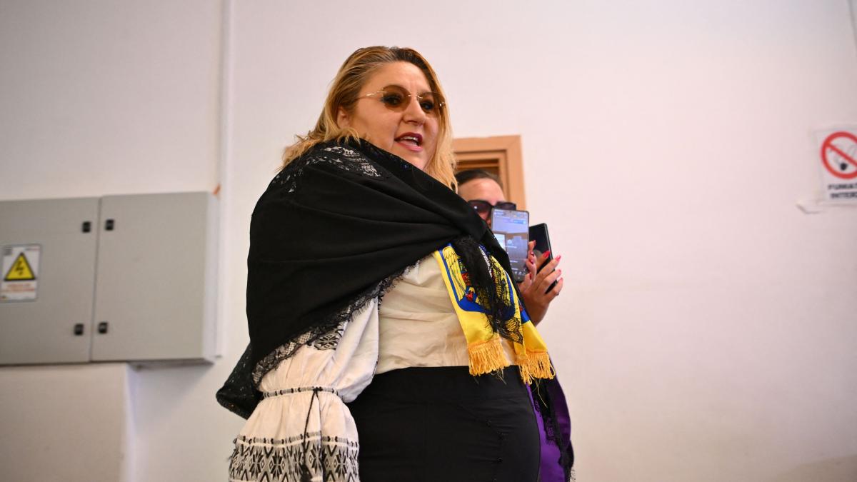 Diana Sosoaca sustine ca 5 tari i au oferit azil politic Pe mine nu ma opreste