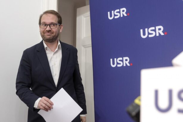 Dominic Fritz dupa respingerea motiunii impotriva Dianei Buzoianu Nu pot sa depun