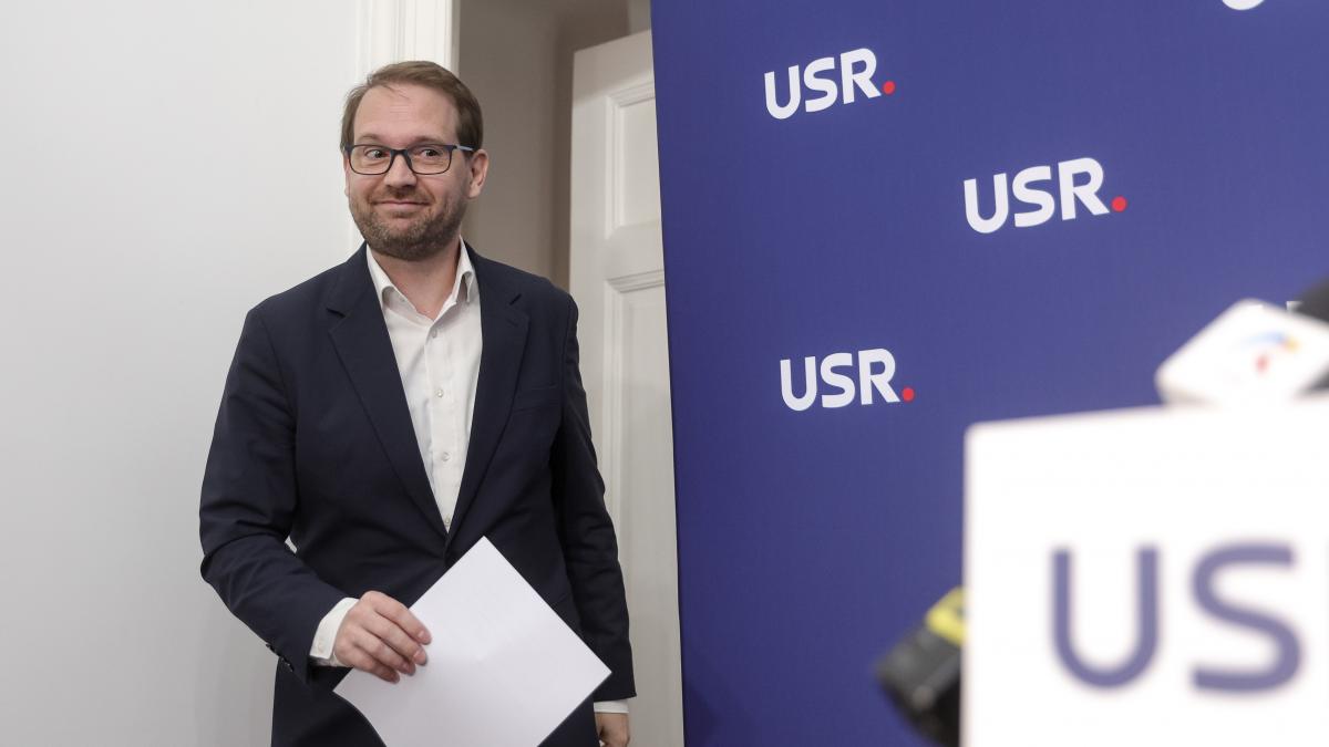 Dominic Fritz dupa respingerea motiunii impotriva Dianei Buzoianu Nu pot sa depun