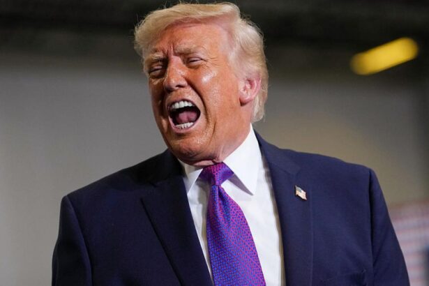 Donald Trump critica NATO intr un mod inedit Sunt niste lasi Un tigru de harta