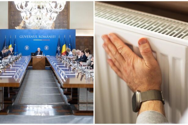 Guvernul a aprobat OUG care fixez preul gazelor naturale la 031 lei kWh pentru consumatori