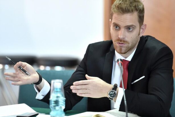 Ilan Laufer a fost sancionat cu o amend de aproape 2500 de lei dup accidentul n care a fost implicat n timp ce se afla cu