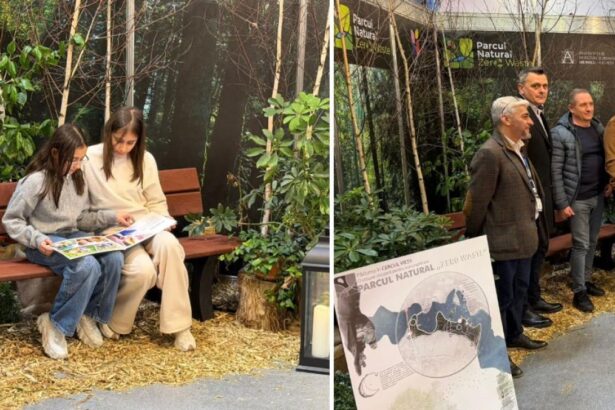Ilfovul vrea sa transforme Padurea Caldararu intr un Parc Natural Zero Waste Un sanctuar in