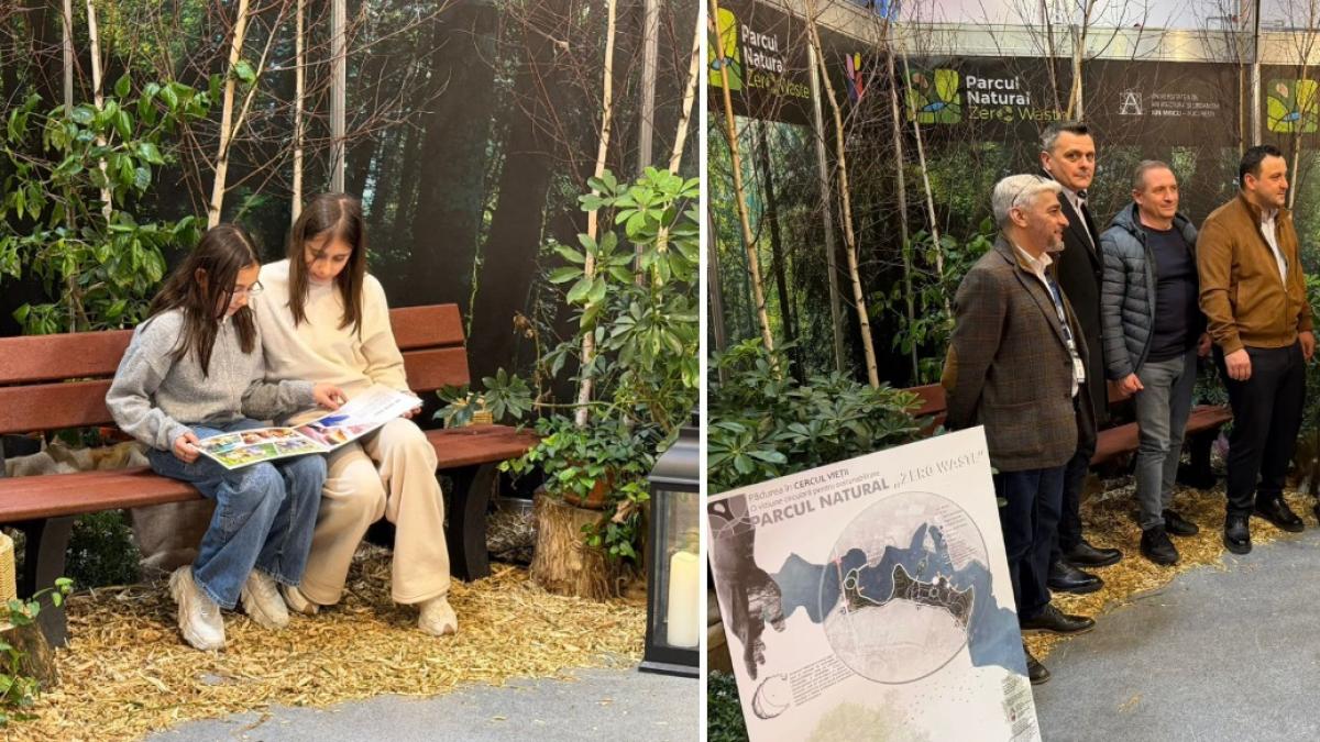 Ilfovul vrea sa transforme Padurea Caldararu intr un Parc Natural Zero Waste Un sanctuar in