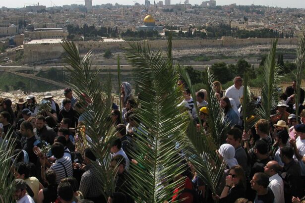 La Ierusalim nu se va mai sarbatori Duminica Floriilor din cauza razboiului cu Iranul