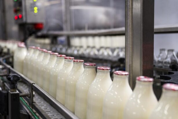 Laptele romanesc dispare de pe piata fermierii vand in pierdere iar importurile ingreuneaza productia