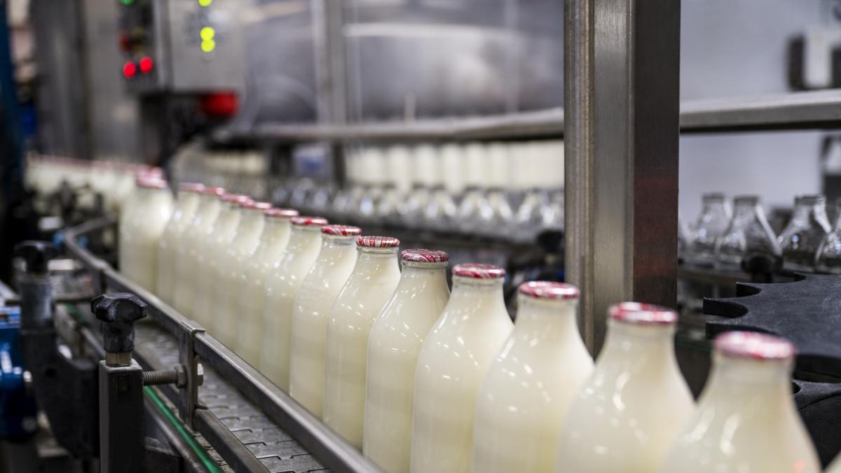 Laptele romanesc dispare de pe piata fermierii vand in pierdere iar importurile ingreuneaza productia