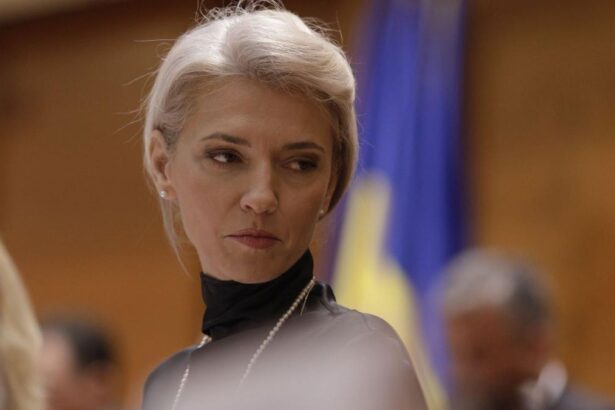 Legea impotriva femicidului adoptata de Parlament Pedepse asemanatoare cu cele pentru omor calificat Alina Gorghiu