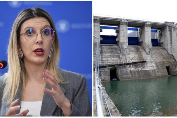 Liderul PSD Hunedoara cere demisia Dianei Buzoianu dupa oprirea lucrarilor la barajul Mihaileni