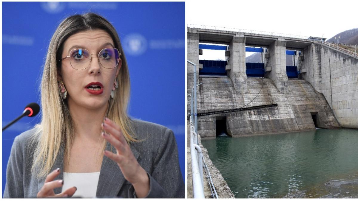 Liderul PSD Hunedoara cere demisia Dianei Buzoianu dupa oprirea lucrarilor la barajul Mihaileni